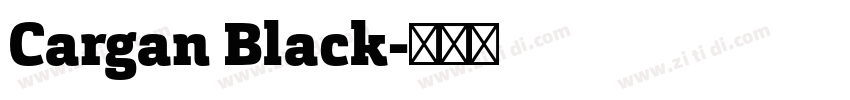 Cargan Black字体转换
